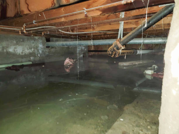 Best Emergency water damage restoration  in Mayo, FL