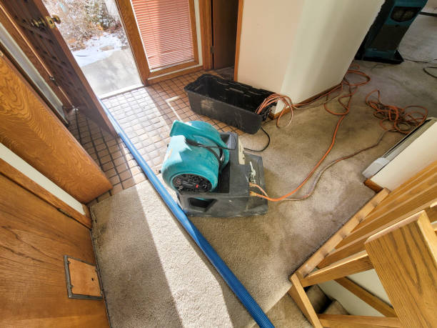 Carpet water damage restoration in Mayo, FL