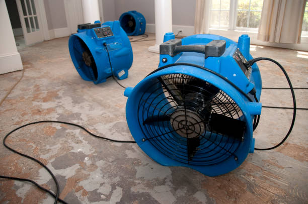 Best Ceiling water damage repair  in Mayo, FL