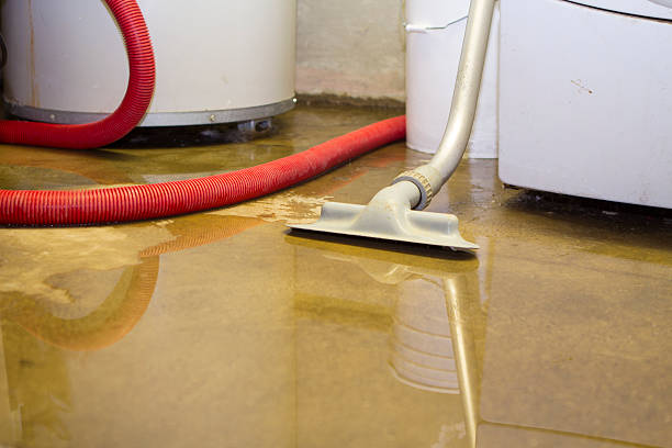 Best Water damage repair service  in Mayo, FL