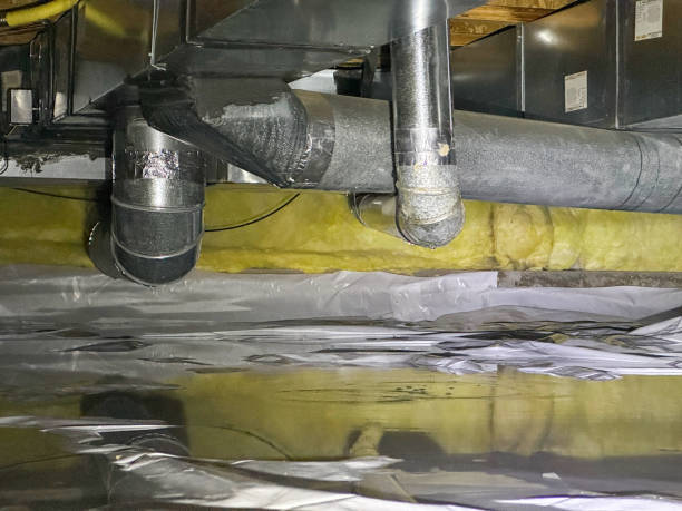 Best Water damage contractors near me  in Mayo, FL